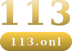 113 logo